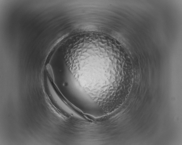 X0000070230390200606021353