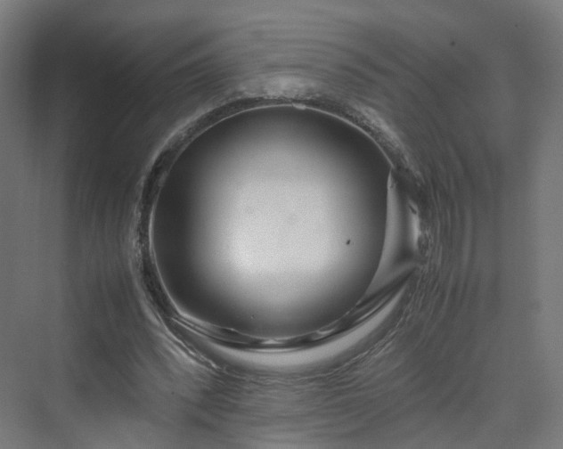 X0000070230392200606021353