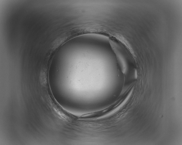 X0000070230393200606021353