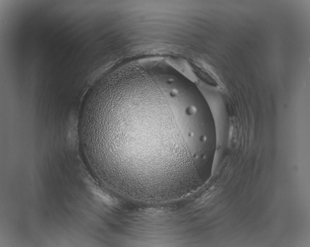 X0000070230394200606021353