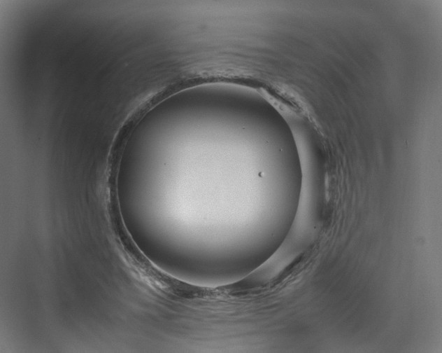 X0000070230395200606021353