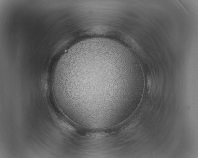 X0000070230396200606021352