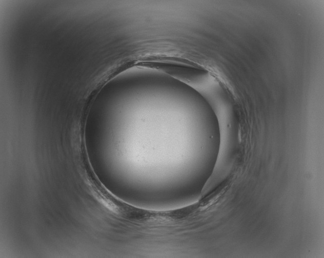 X0000070230397200606021352