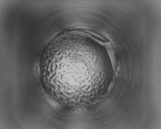 X0000070230398200606021352