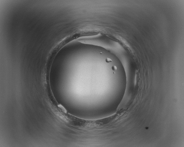 X0000070230399200606021352