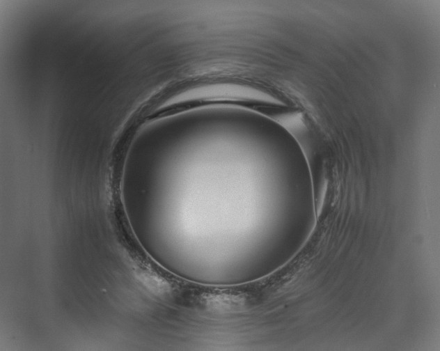 X0000070230400200606021352