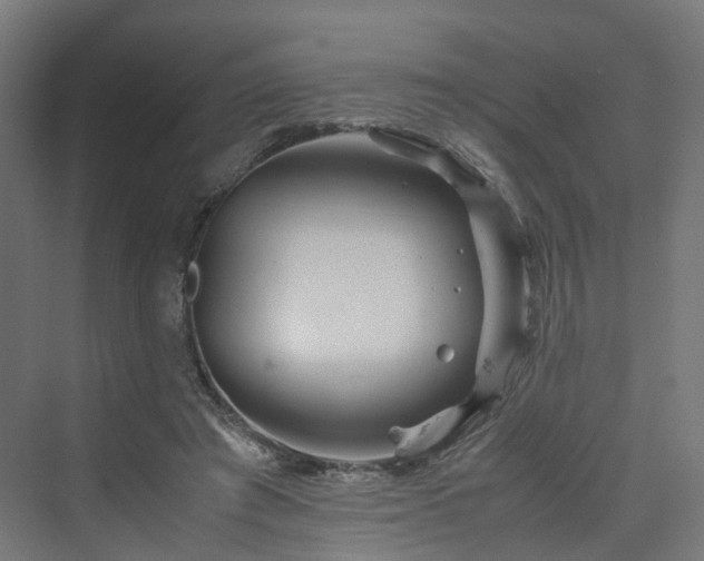 X0000070230401200606021352