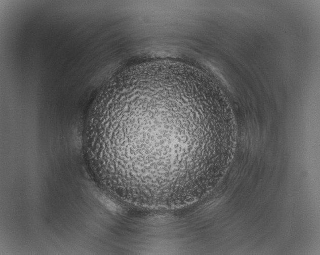 X0000070230402200606021352