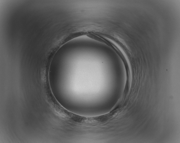 X0000070230403200606021352