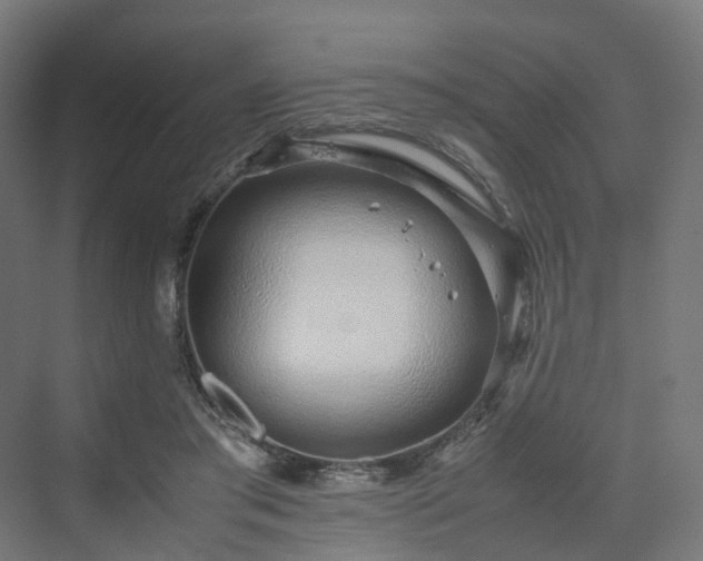 X0000070230405200606021352