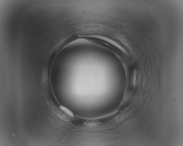 X0000070230407200606021352