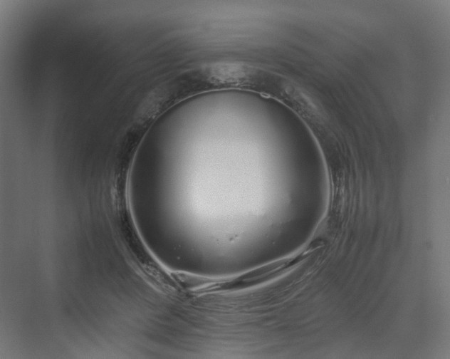 X0000070230408200606021352