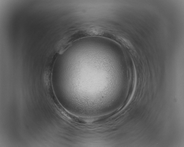 X0000070230409200606021352