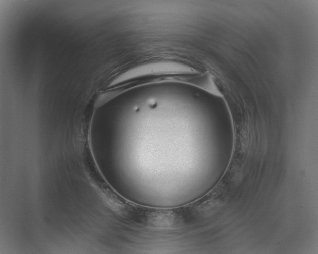 X0000070230410200606021352