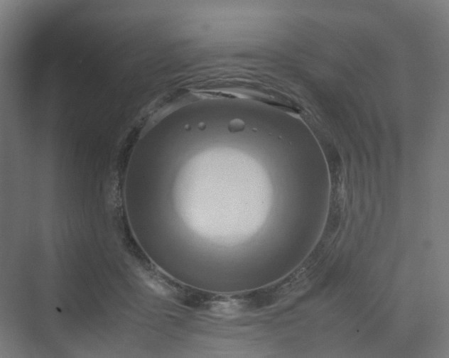 X0000070230411200606021352