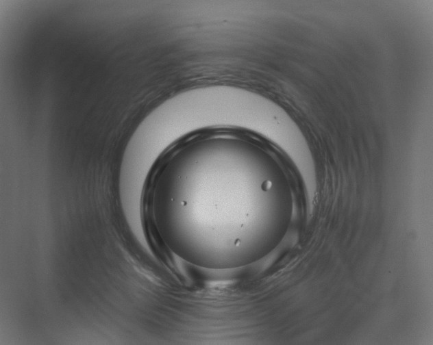 X0000070230412200606021352