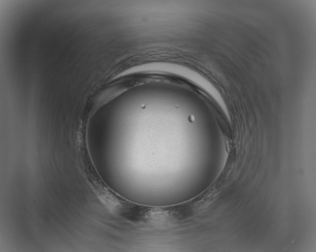 X0000070230413200606021352