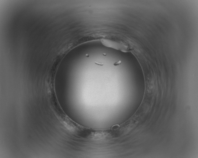 X0000070230414200606021352