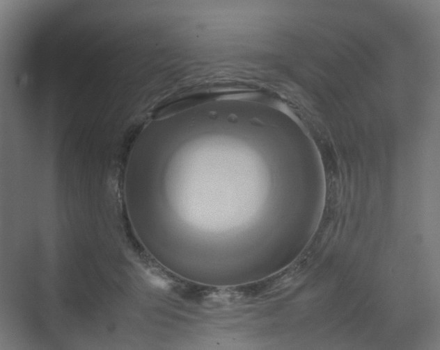 X0000070230415200606021352