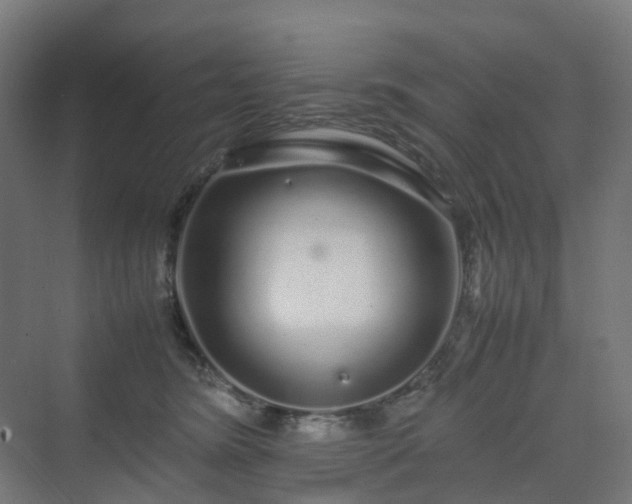 X0000070230420200606021352