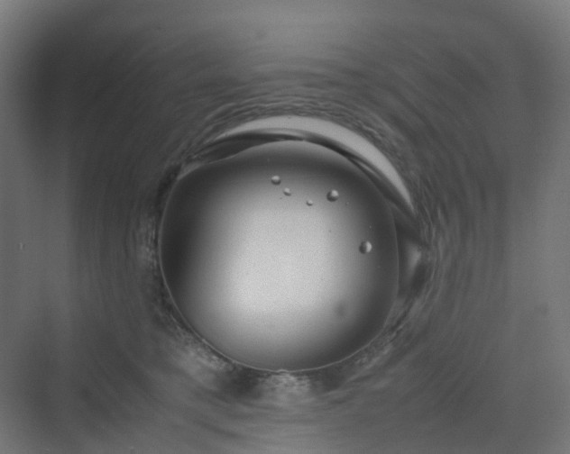 X0000070230421200606021352