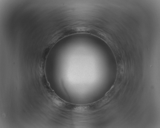 X0000070230422200606021352