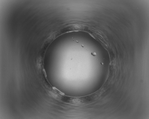 X0000070230423200606021352