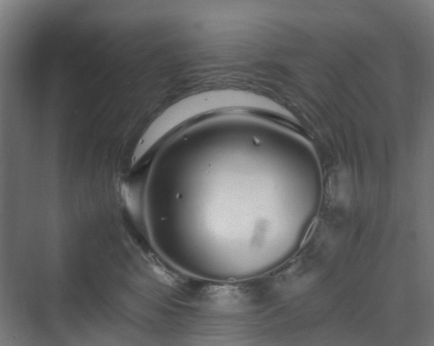 X0000070230424200606021352