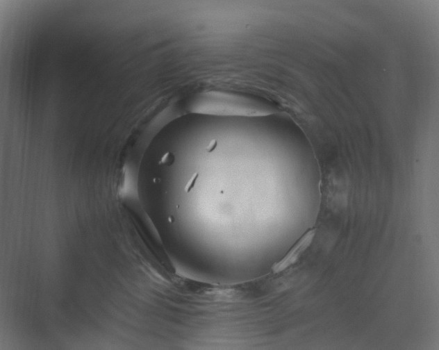 X0000070230428200606021352