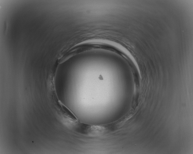 X0000070230429200606021352