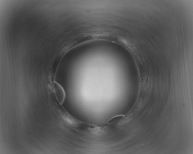 X0000070230430200606021352