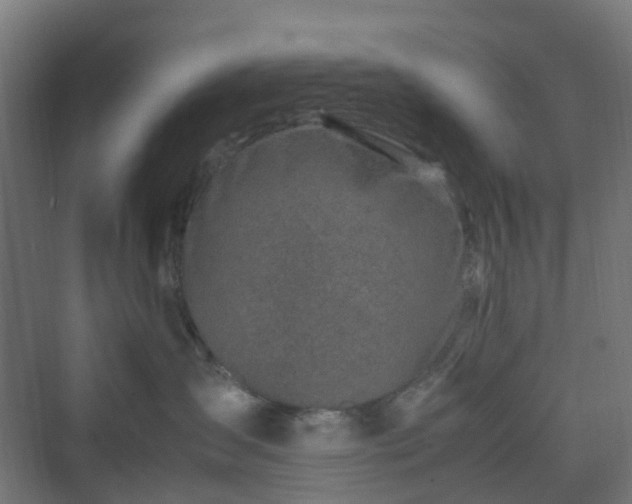 X0000070230431200606021352