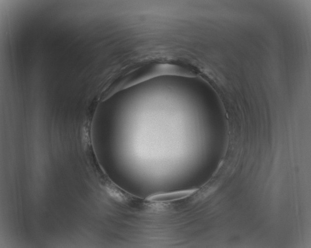 X0000070230432200606021352