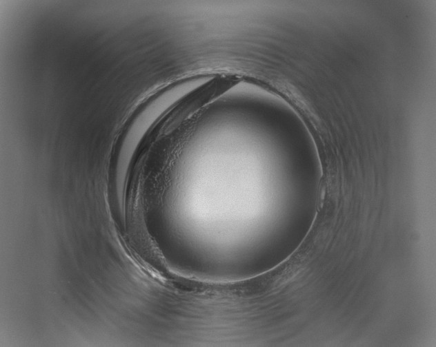 X0000070230434200606021351