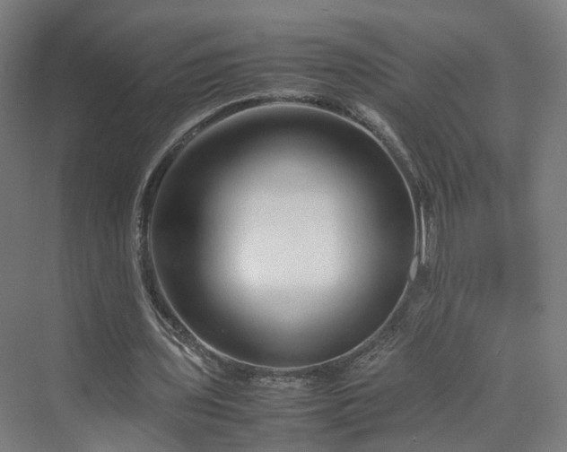 X0000070230435200606021351