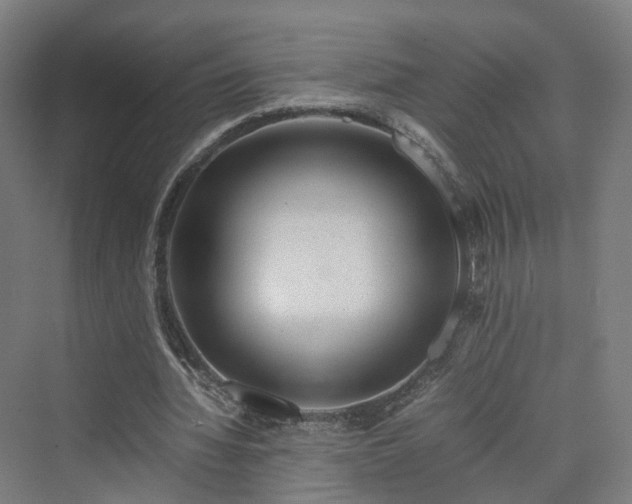 X0000070230436200606021351