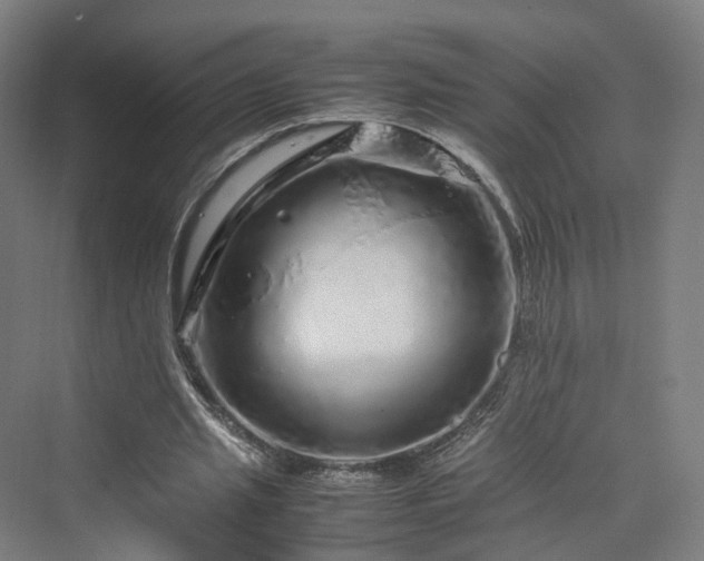 X0000070230437200606021351