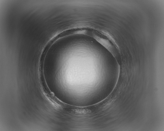 X0000070230439200606021351