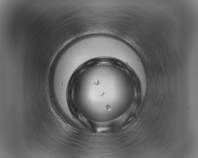 X0000070230440200606021351