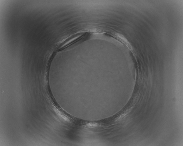 X0000070230441200606021351