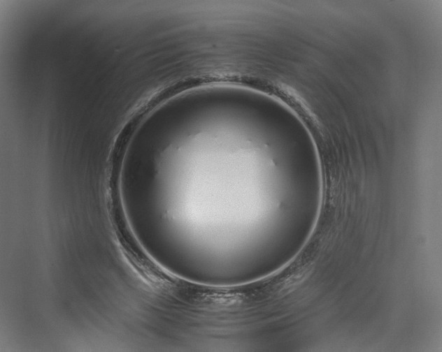 X0000070230443200606021351