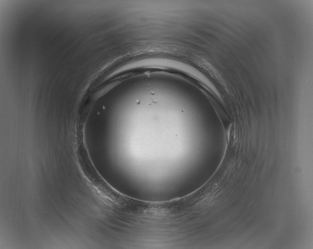 X0000070230444200606021351