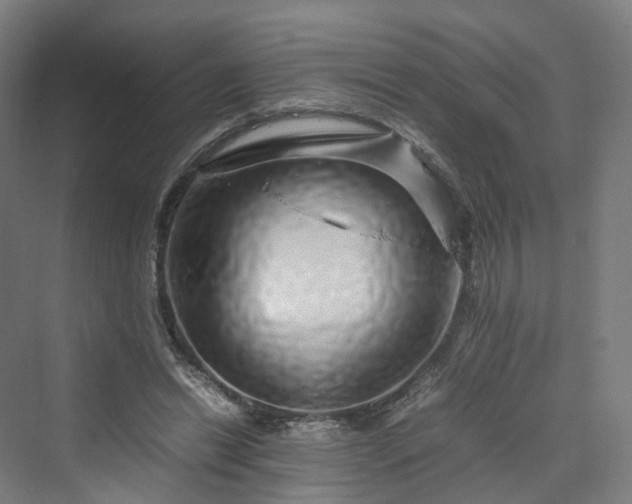 X0000070230446200606021351