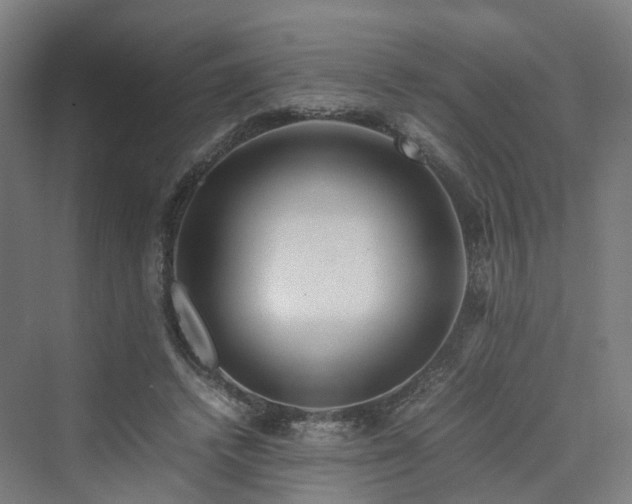 X0000070230448200606021351