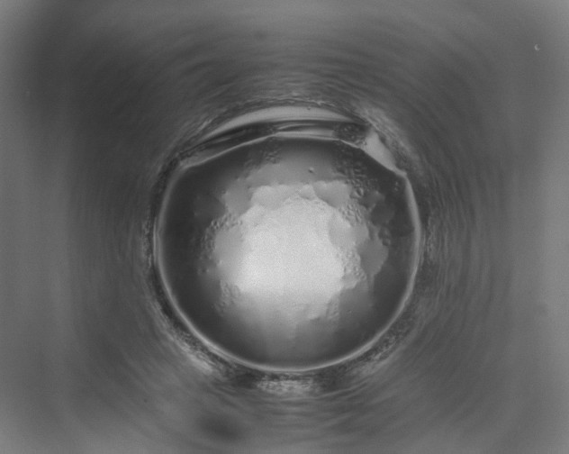 X0000070230449200606021351