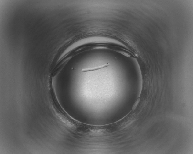 X0000070230450200606021351