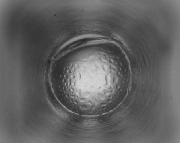 X0000070230451200606021351