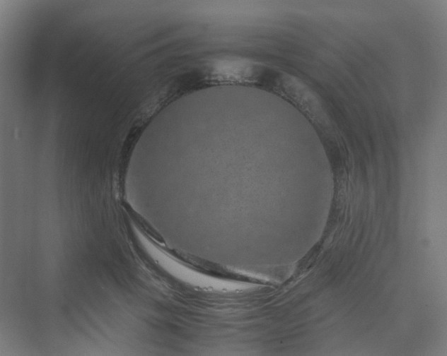 X0000070230457200606021351