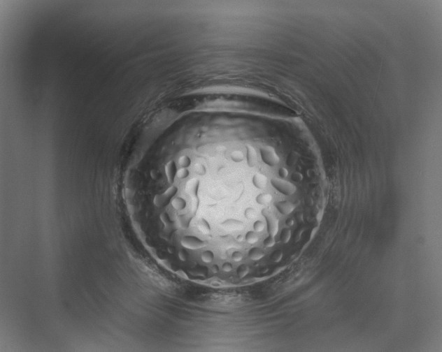 X0000070230458200606021352