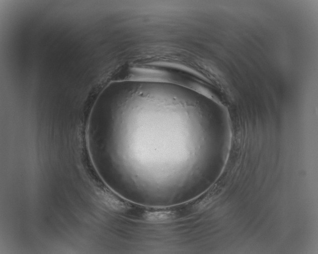 X0000070230461200606021352